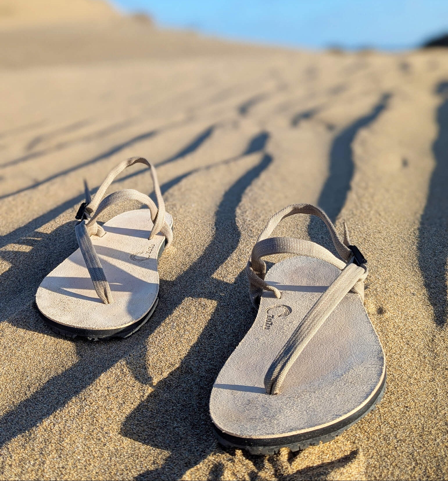 ZuZu Dune