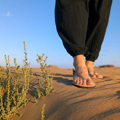 ZuZu Dune