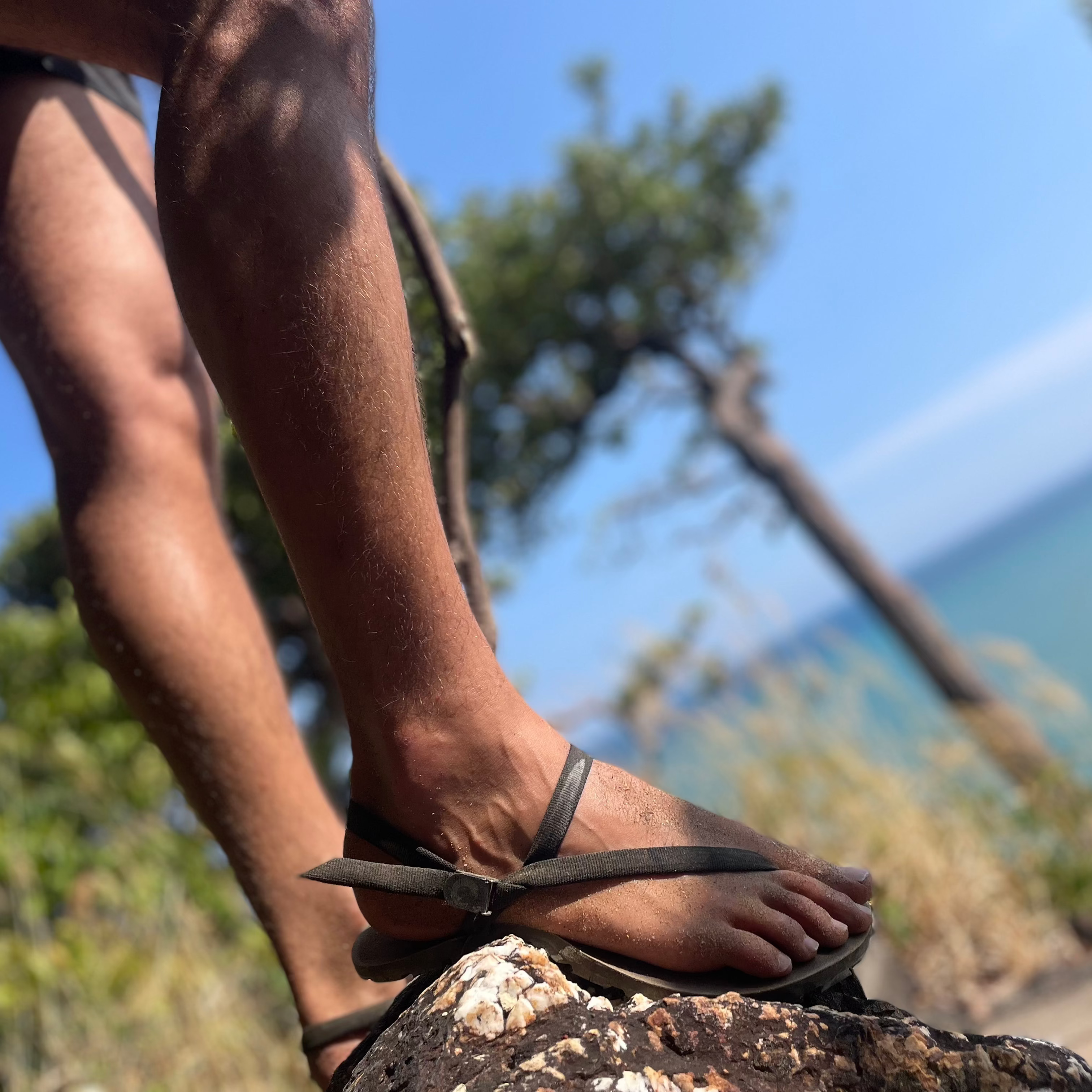 ZuZu Groove - ZuZu Barefoot