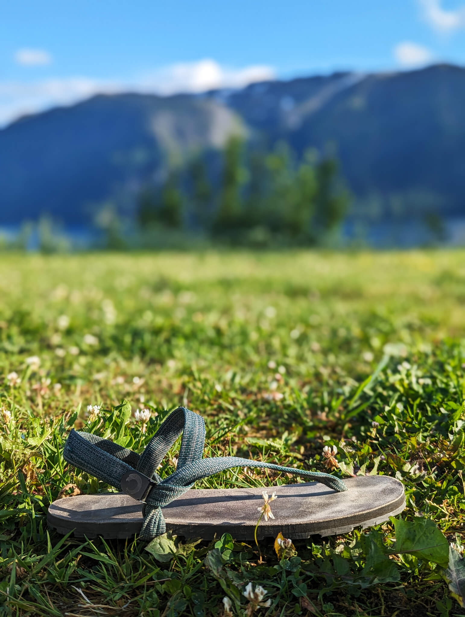 Eucalyptus straps