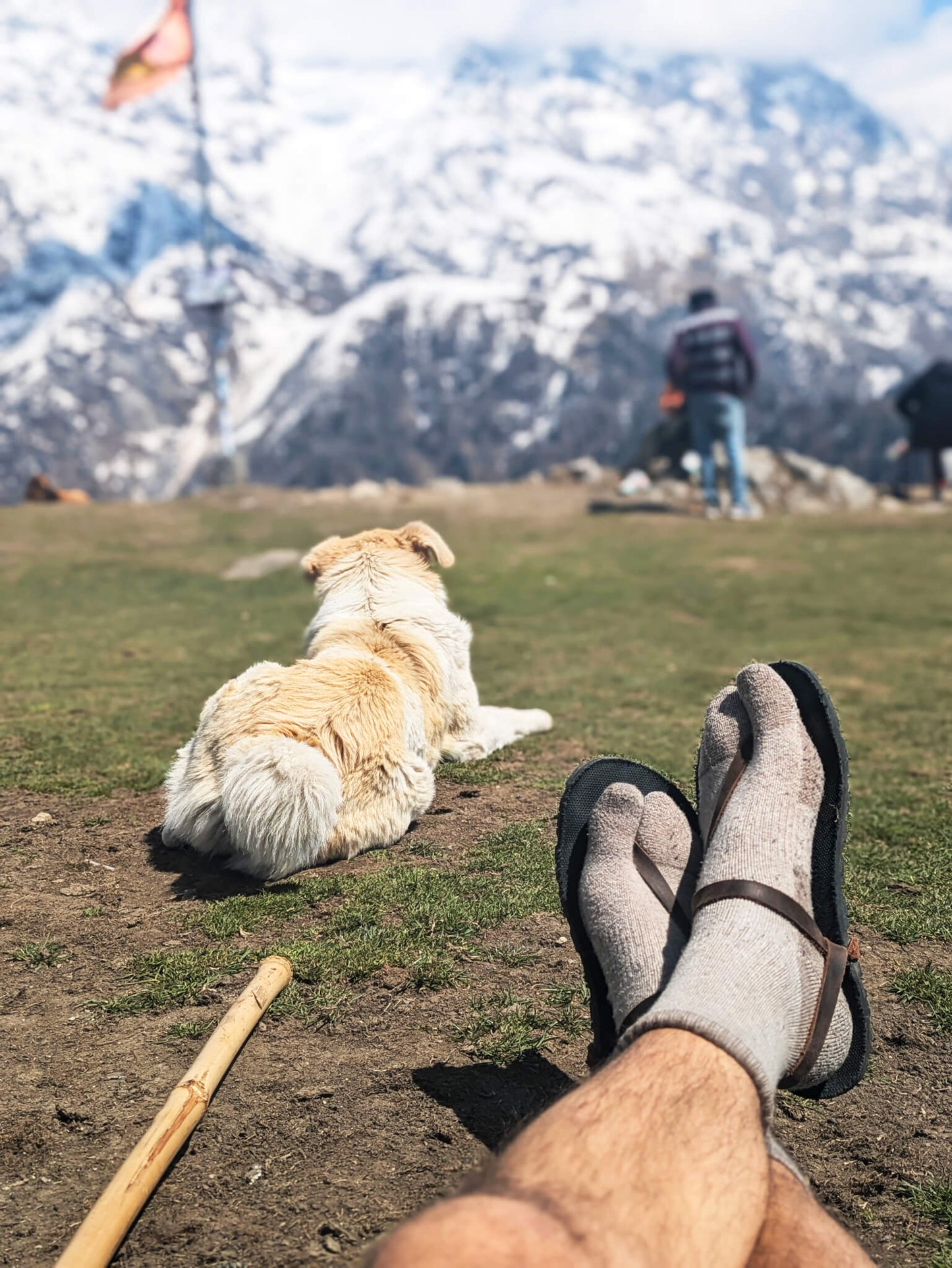 Merino Tabi Socks