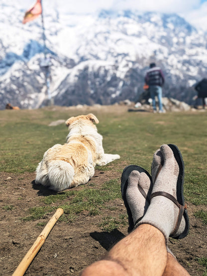 Merino Tabi Socks