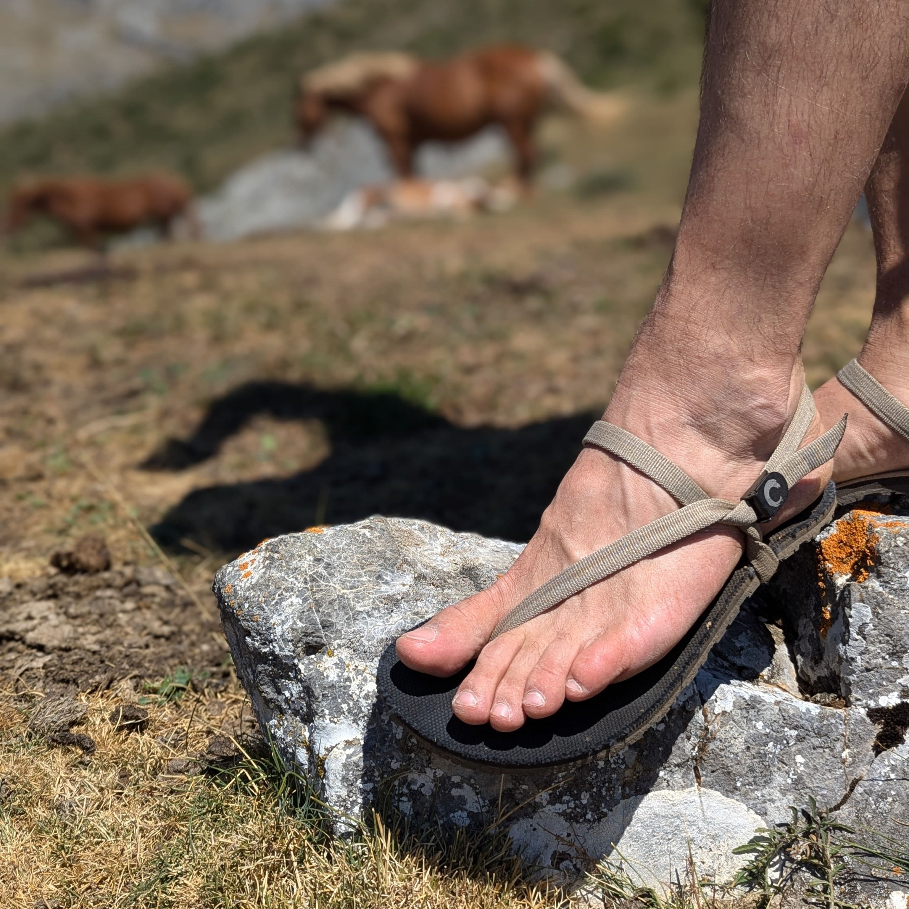ZuZu Flex - ZuZu Barefoot